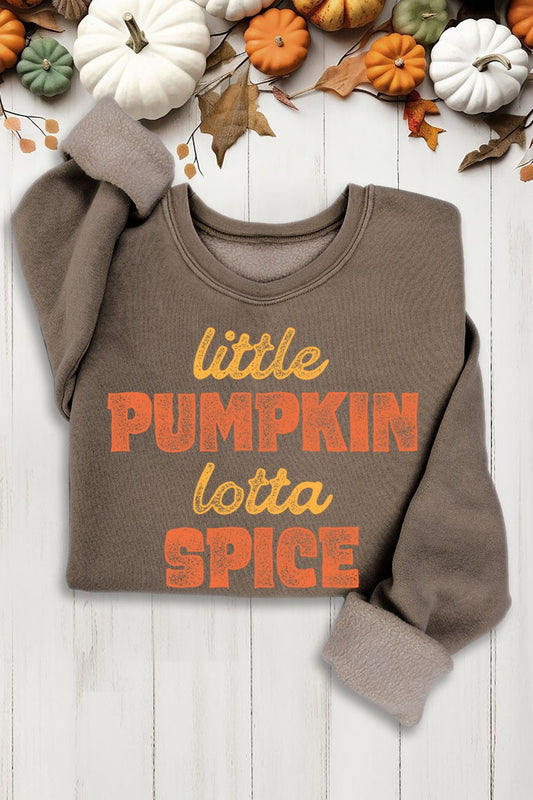 Little Pumpkin Lotta Spice Soft and Comfy Sweatshirts